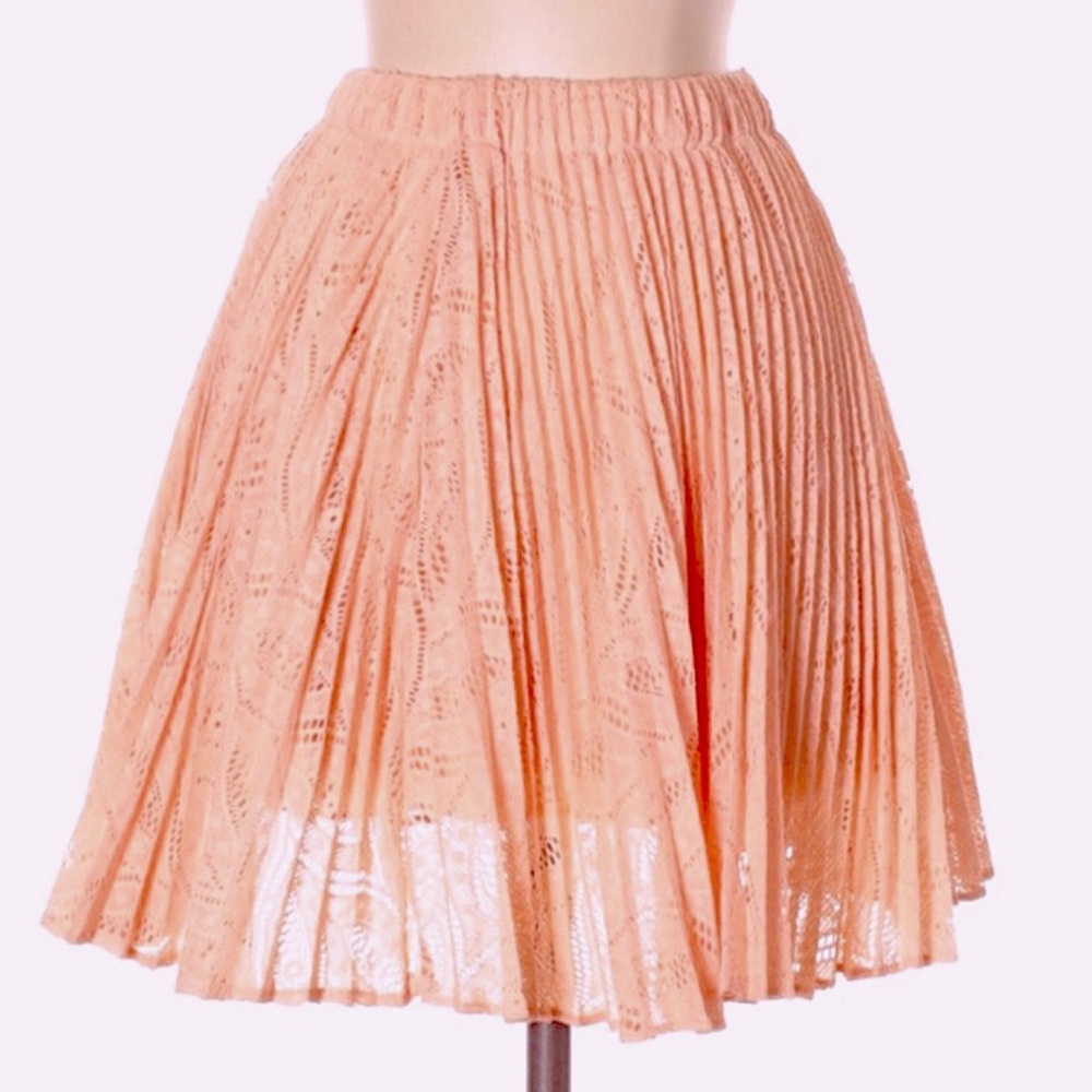 Pins & Needles Accordion Lace Skirt - Picture 1 of 4